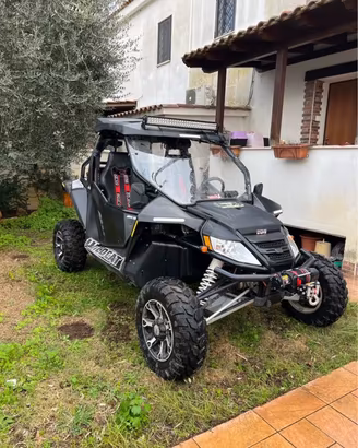 Quad wild cat 1000
