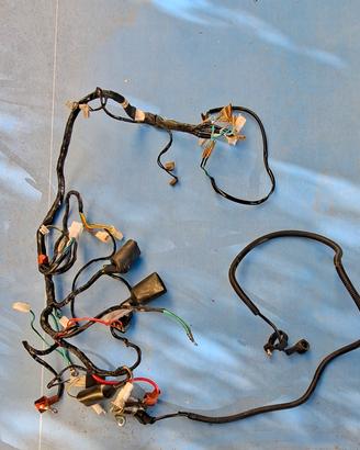 Verve moto Cablaggio completo classic s 125