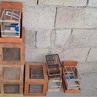 Gabbia Cardellino