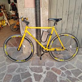  training bike everlast adulto.