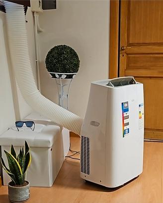 Pinguino condizionatore portatile come nuovo