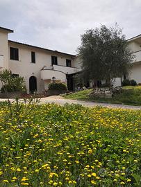 Appartamento in villa