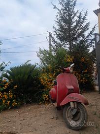 Piaggio Altro modello - 1972