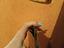 Immagine 5