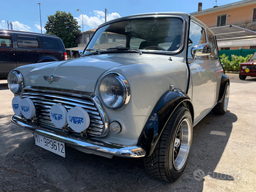 Austin Rover Mini