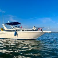 Barca Monterey 296 cruiser