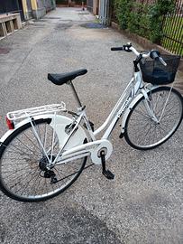il velocipede