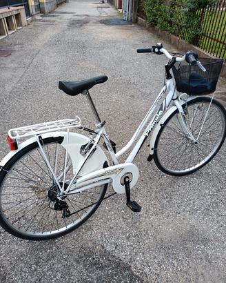 il velocipede