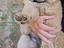 Immagine 3