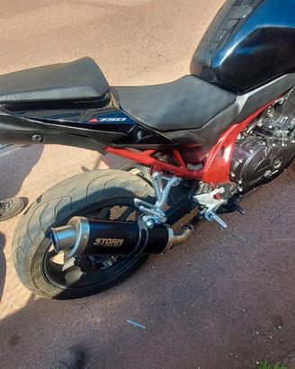 SCARICO STORM  GP By Mivv nero x Honda 750 Hornet