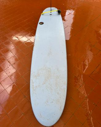 Longboard 9.0 NSP