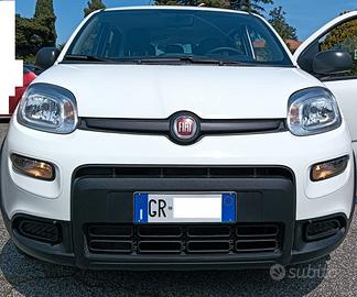 FIAT Panda 3ª serie - 2023