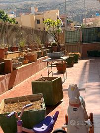 Vasi grandi e rettangolari e piccoli in terracotta