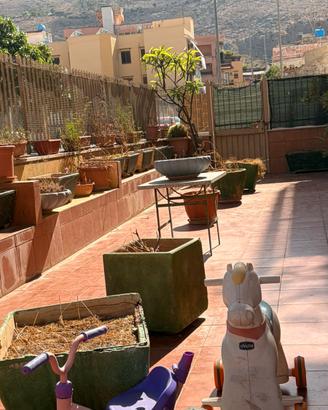 Vasi grandi e rettangolari e piccoli in terracotta