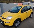 fiat-panda-1-0-firefly-s-s-hybrid-pandina