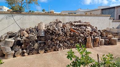 Legna stagionata di pino