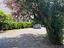 Immagine 25