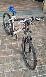 MTB Bottecchia