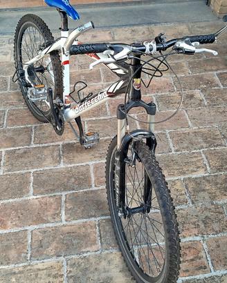 MTB Bottecchia