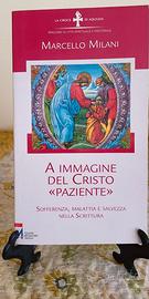 "A immagine del Cristo «paziente»" Teologia