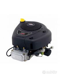 Motore briggs & stratton series 4 intek