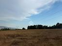 ter-agricolo-a-artena
