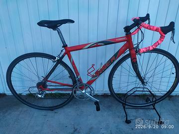 Bici Viner gruppo Campagnolo 