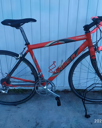 Bici Viner gruppo Campagnolo 