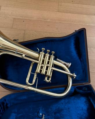 Filicorno Soprano in Si♭ B&S Markeneukirchen
