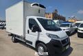 DUCATO 2.3MJT 2019 CELLA 3,60 ATP 2028