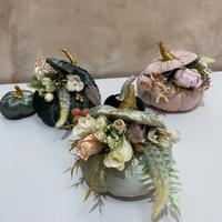 composizione d arredo Zucca