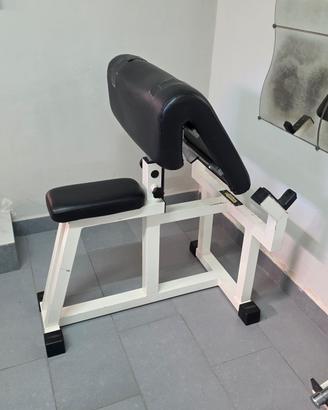 Panca Scott e Hyperetxtension
