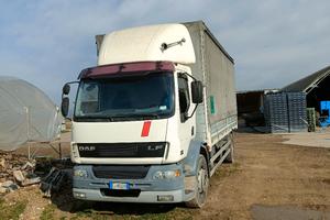 Daf LF55 180/250 del 2003