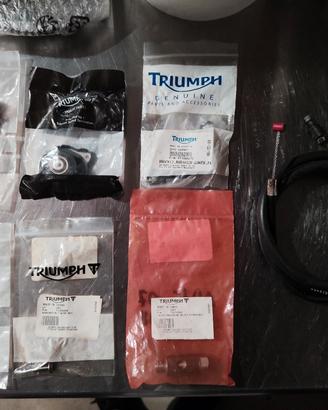ricambi Triumph 675 
