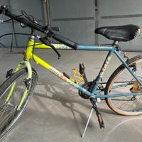Bici usata afulto