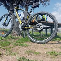 Mountain Bike 29" telaio L Whistle Patwin nuova