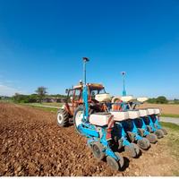 seminatrice mais monosem  plus 6 file