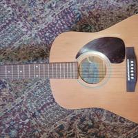  Chitarra acustica elettrificata Seagull Series S6
