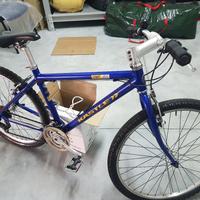 bicicletta mtb