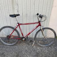 Bici Moutain Bike 26 Bolognina