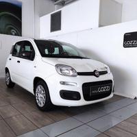 FIAT Panda 3ª serie - Panda 1.0 FireFly S&S Hybrid