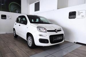 FIAT Panda 3ª serie - Panda 1.0 FireFly S&S Hybrid