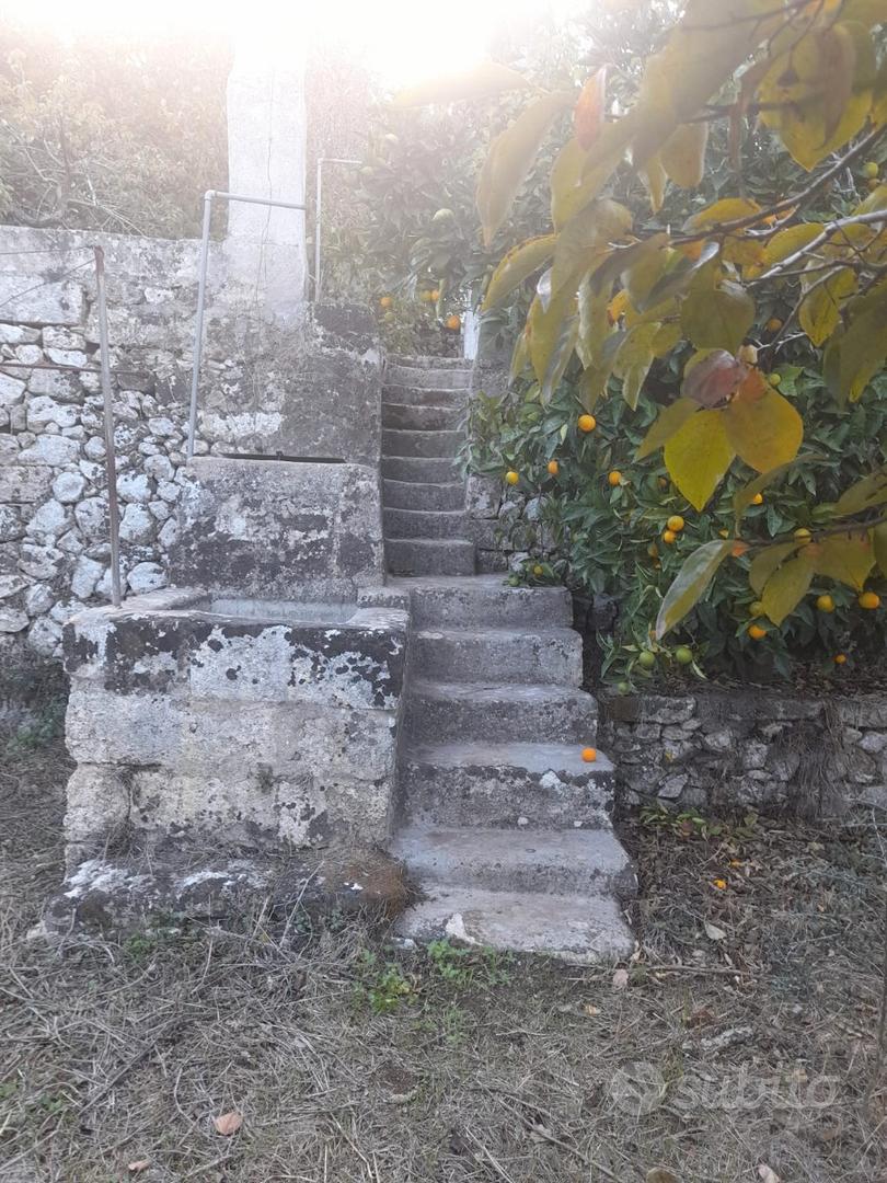 Terreno/giardino edificabile - Vista 2