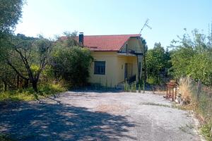 Casa con ampio giardino