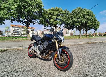 Honda hornet