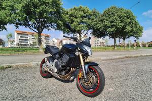 Honda hornet