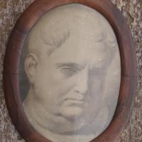 disegno a grisaille -  Vitellio