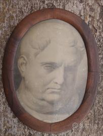 disegno a grisaille -  Vitellio