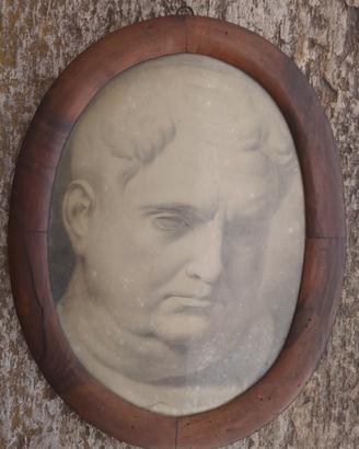 disegno a grisaille -  Vitellio