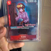 Koala top player